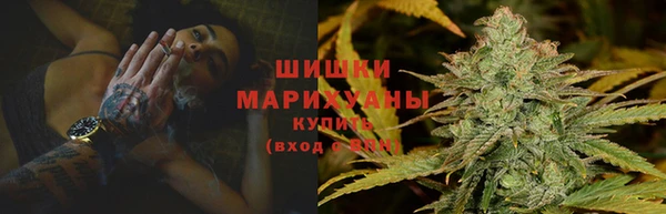 шишки Баксан