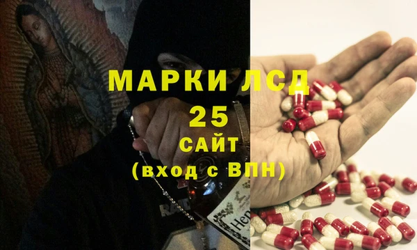 шишки Баксан
