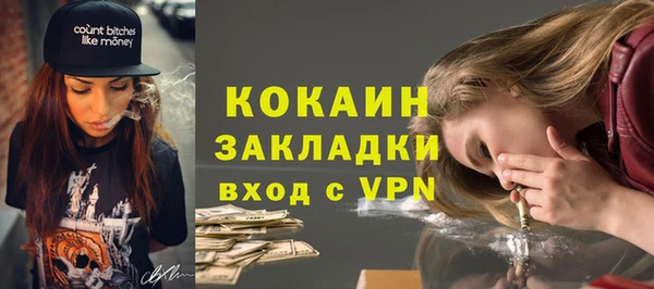 шишки Баксан