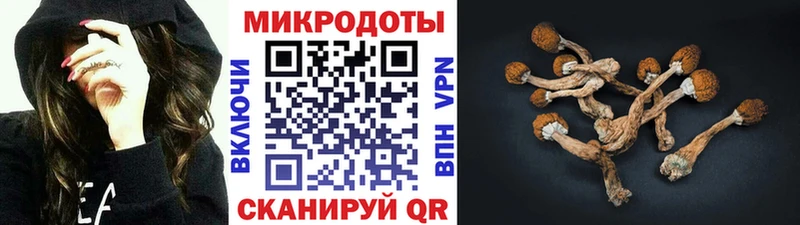 Псилоцибиновые грибы мухоморы  Мариинский Посад 