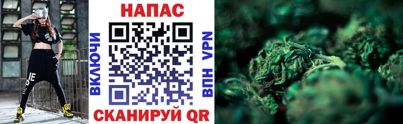 закладка  Мариинский Посад  МАРИХУАНА тримм 